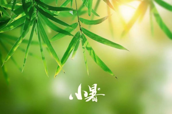 金御网 科普 | 小暑不“小热”，这份“清凉生存指南”让你轻松拿捏三伏前奏！